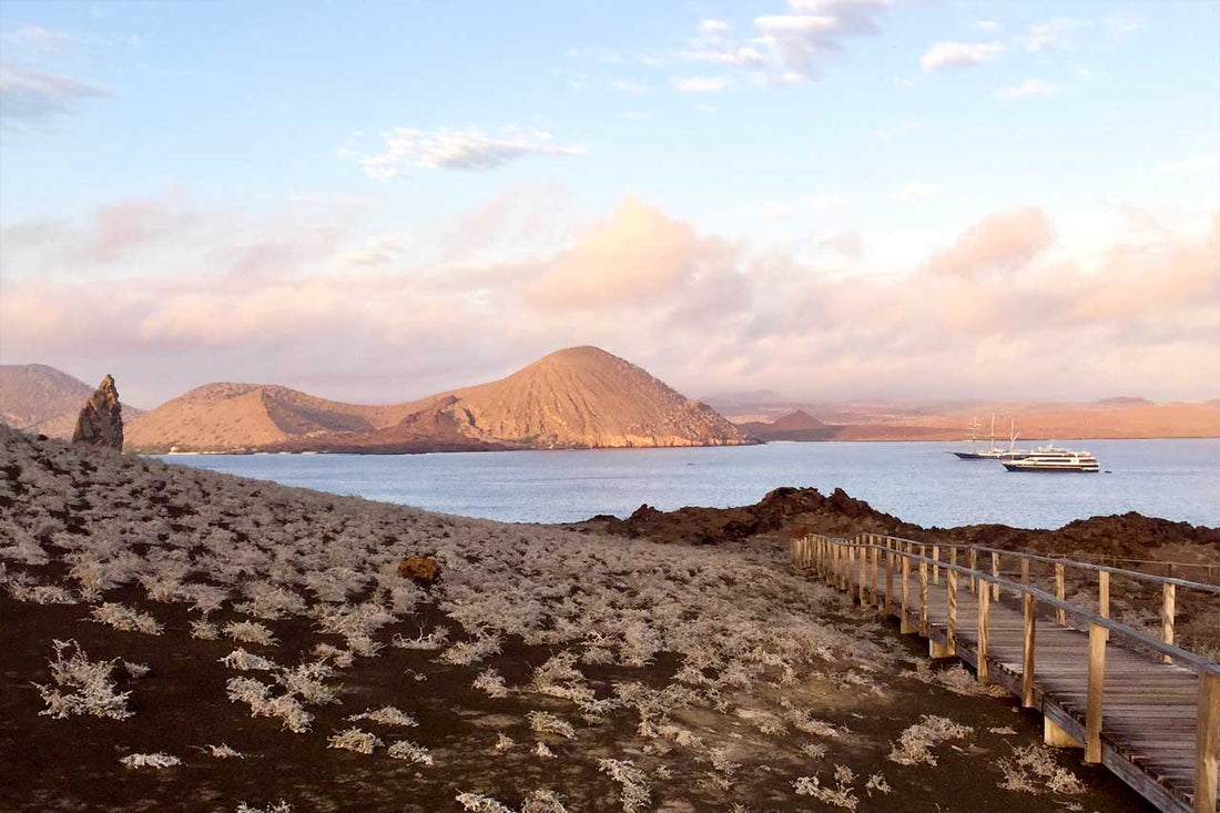 Stress Then. Stress Now. And Why It Feels Heavier Today.