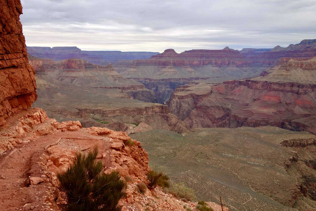 Leg Strength, Brain Health, and a Long Way Out of the Canyon